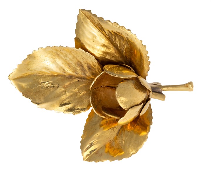 Gullbrosje med botanisk motiv