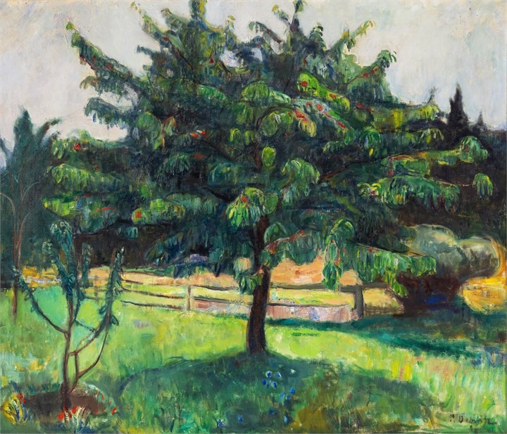 "Stille graaveir Jomfruland" 1908
