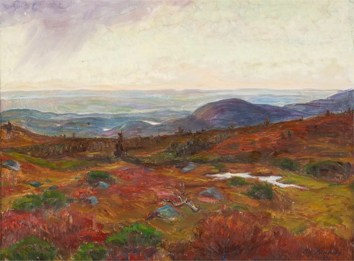 "Fra Sjusjøfjellet" 1941