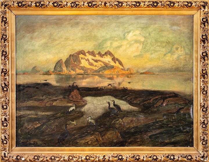 Skarv i Nordland, 1904