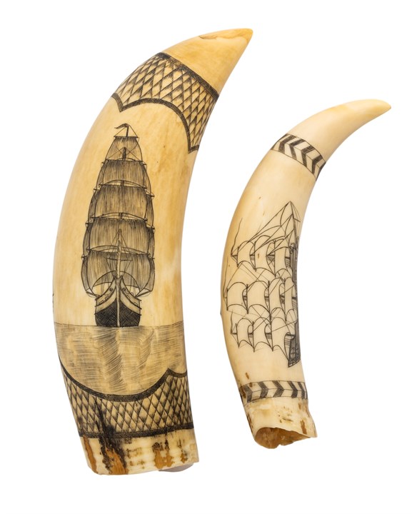 To dekorerte hvaltenner - scrimshaw, 1800-tallet