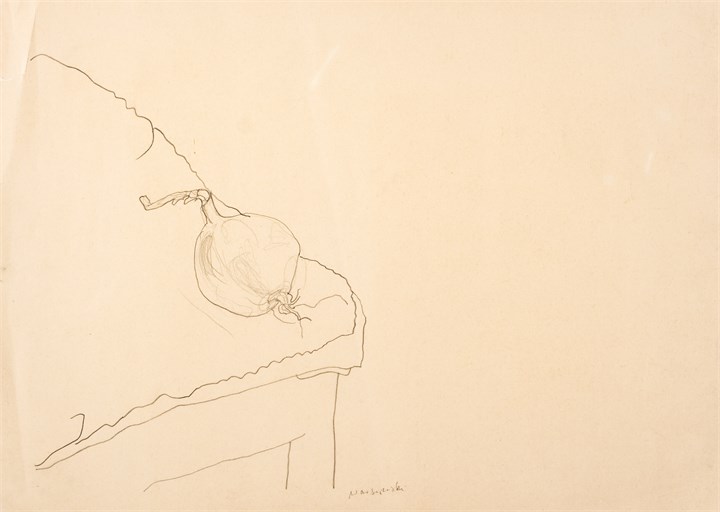 En løk, 1976