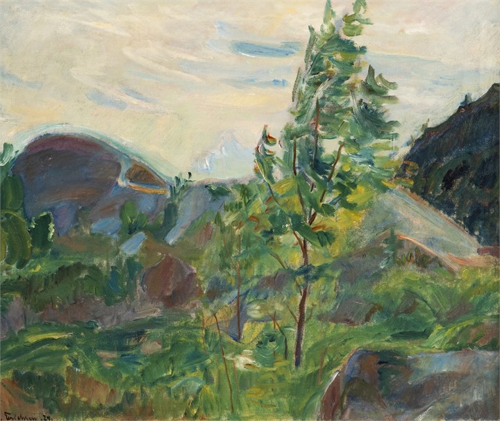 Oppføring bilde