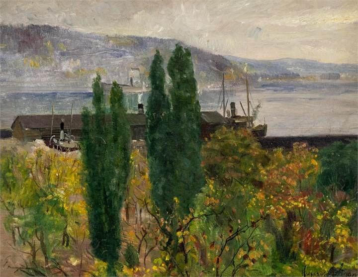 Fjordparti