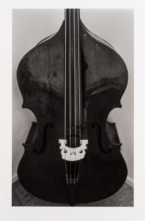 Cello, 2010