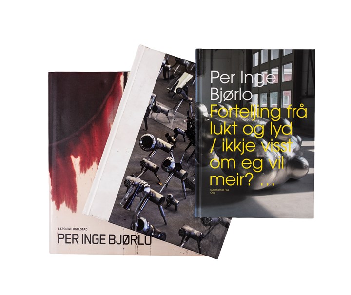 Oppføring bilde