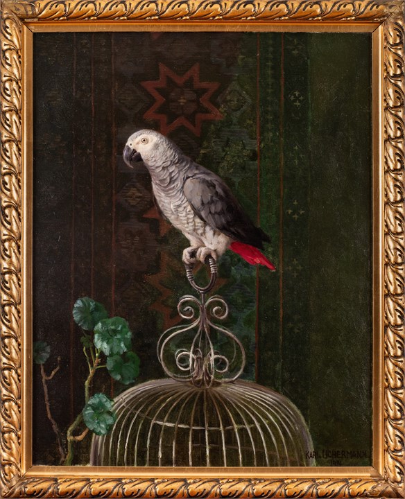 Papegøye på bur, 1914