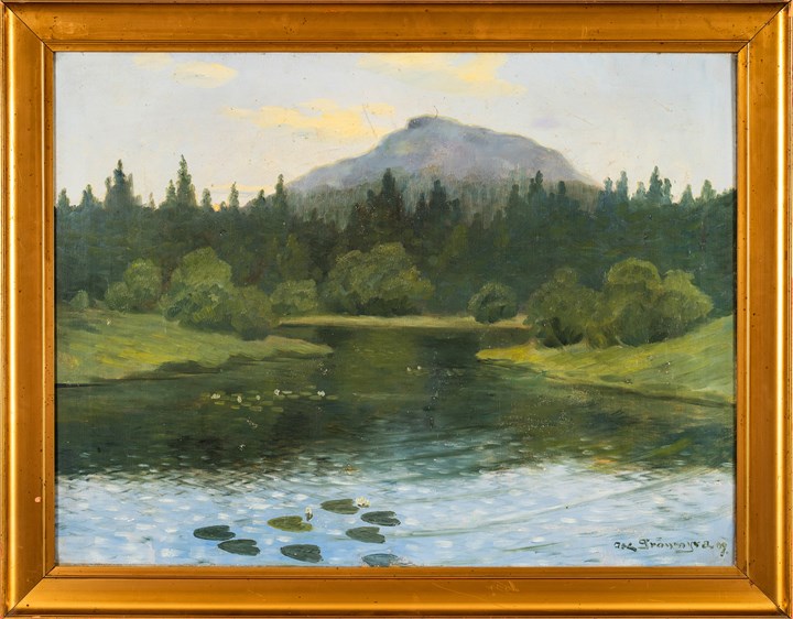 Skogslandskap ved vannet 