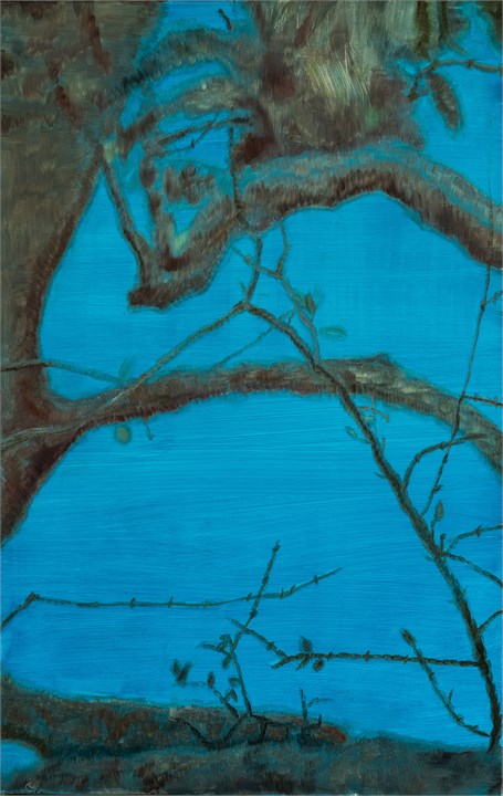 Uten tittel, 2003
