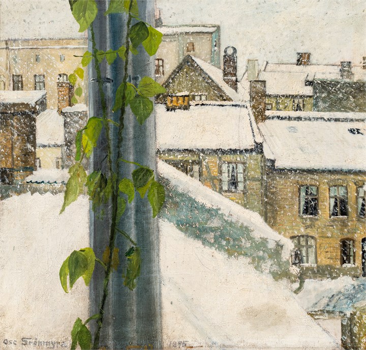 "Snefyk" 1895