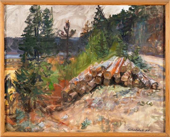 Oppføring bilde