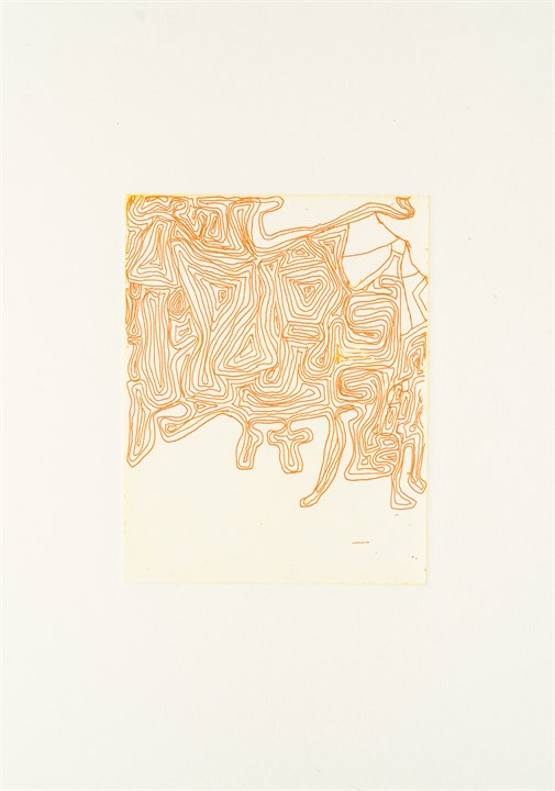 Oppføring bilde