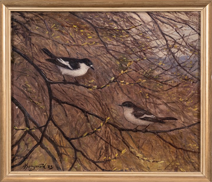 "Fluesnappere, vaar" 1925