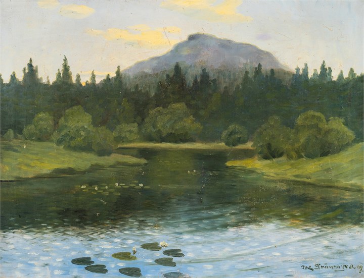 Oppføring bilde