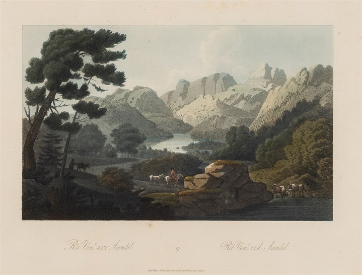 Oppføring bilde