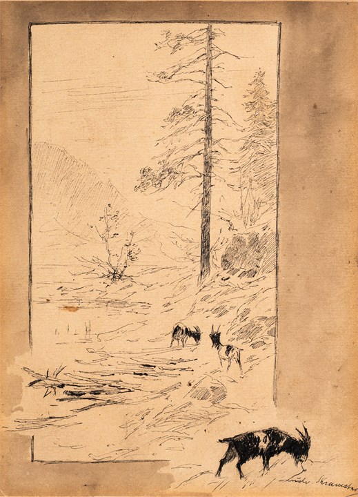 Tre geiter