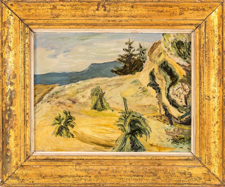 Oppføring bilde