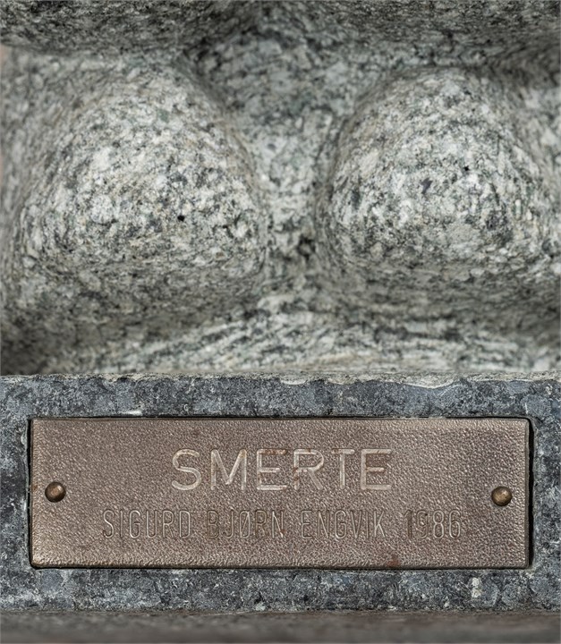 Oppføring bilde