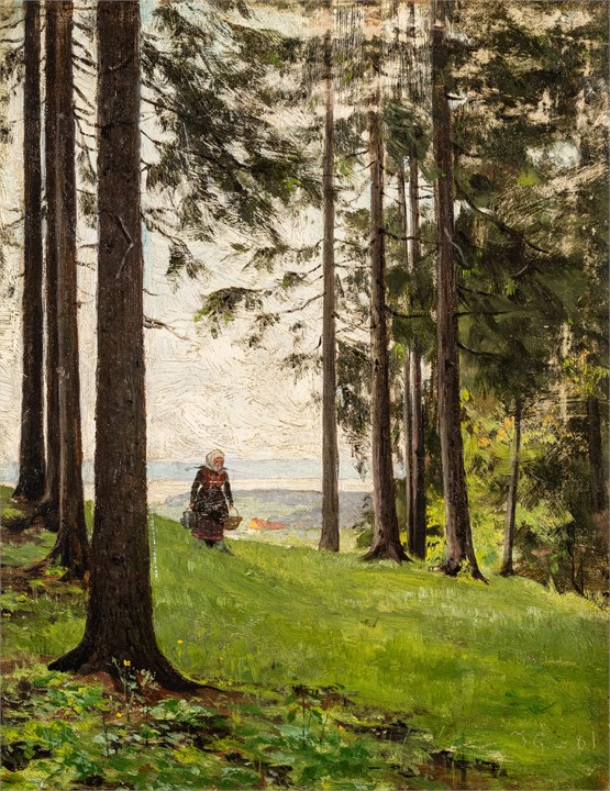 Oppføring bilde